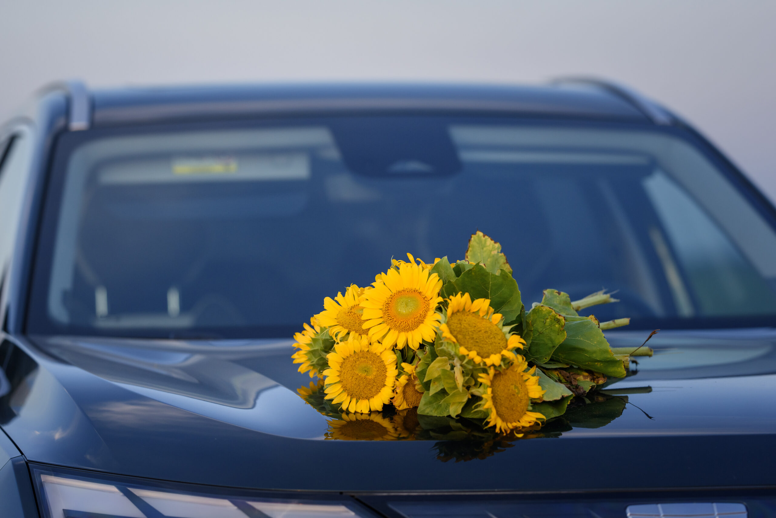 All-Inclusive Service